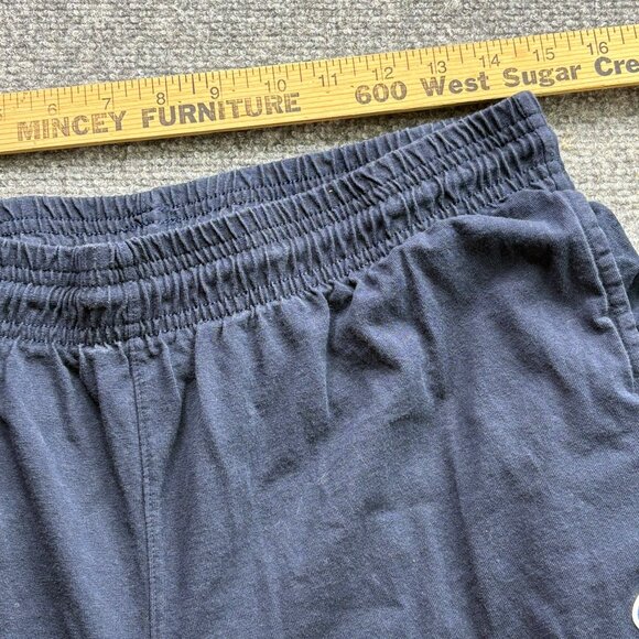 Champion Pants Mens Large Blue Joggers Authentic Athleticwear Athleisure Comfy - Picture 10 of 13